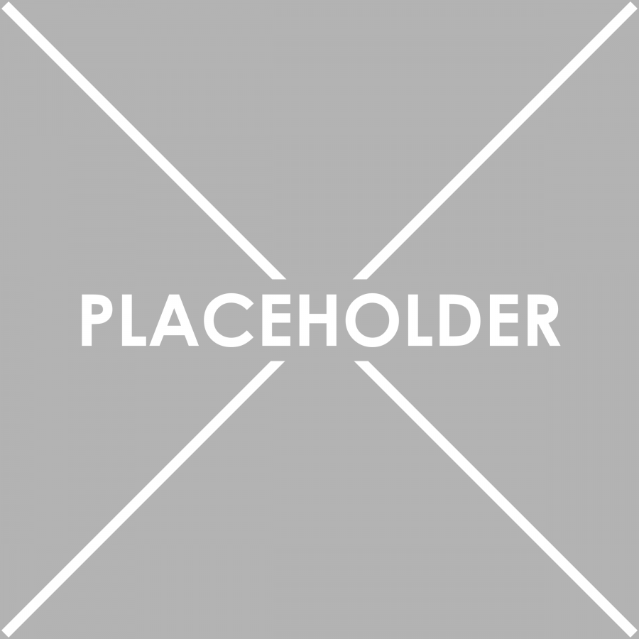900px-Placeholder