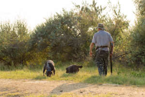 hunter-with-gun-his-hands-hunting-clothes-autumn-forest-search-trophy_1
